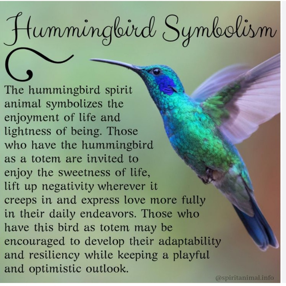 Hummingbird scarf - Picture 2 of 9